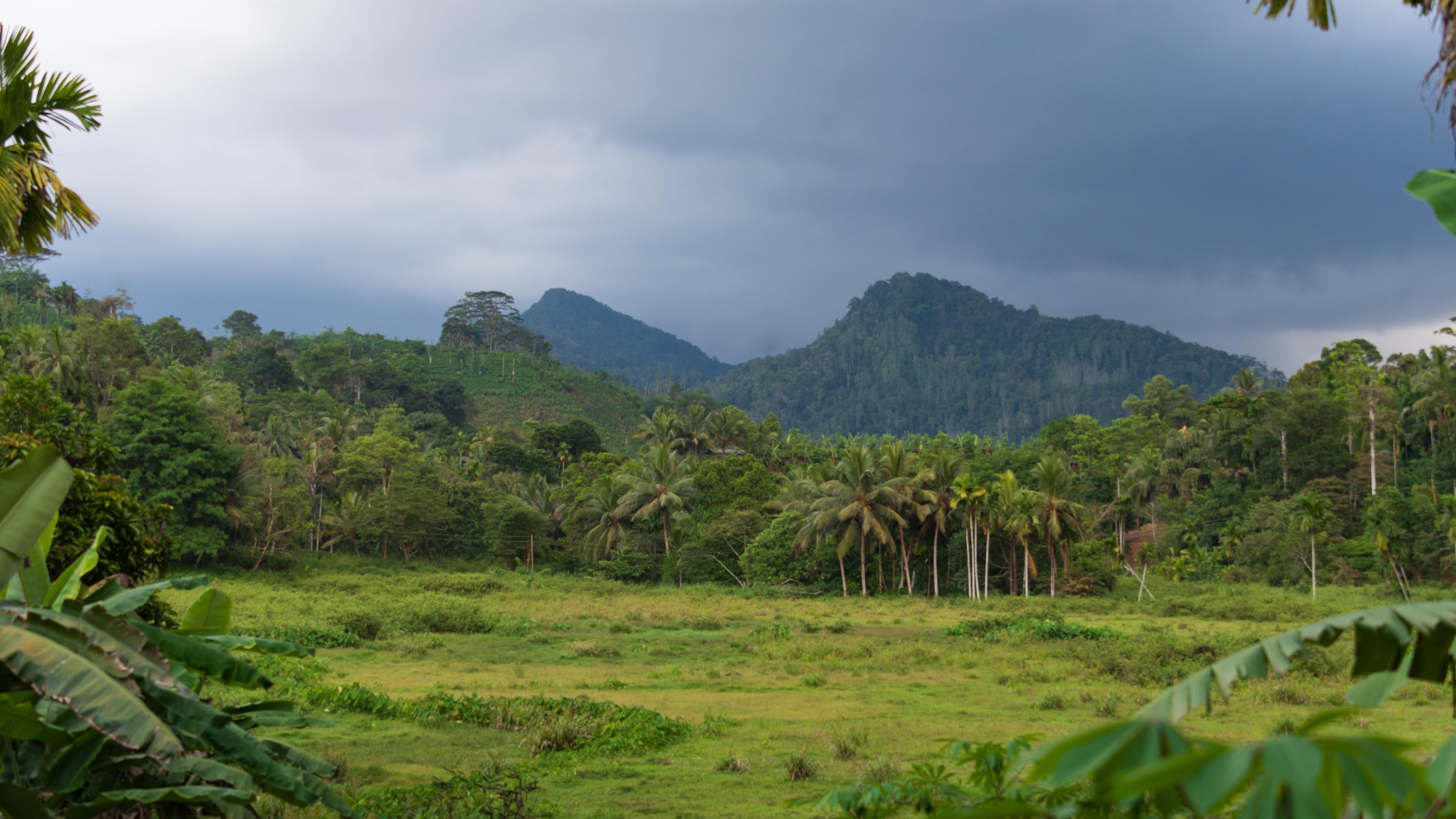 Sri Lanka. Photo: Shutterstock
