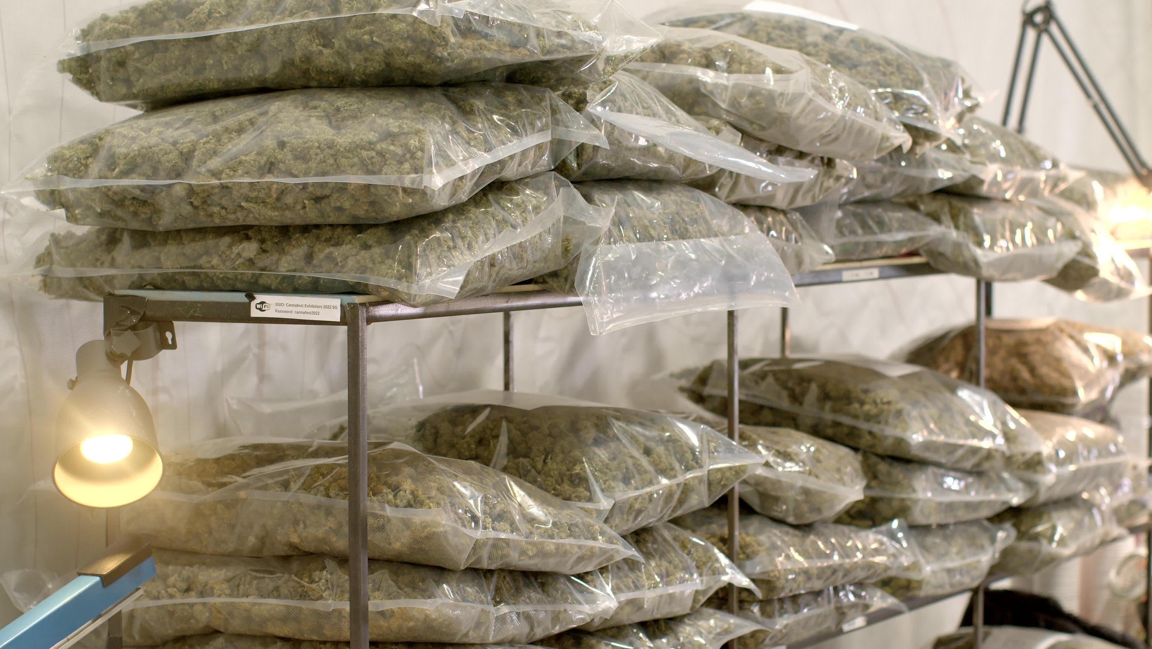 Cannabis bags. Photo: Shutterstock