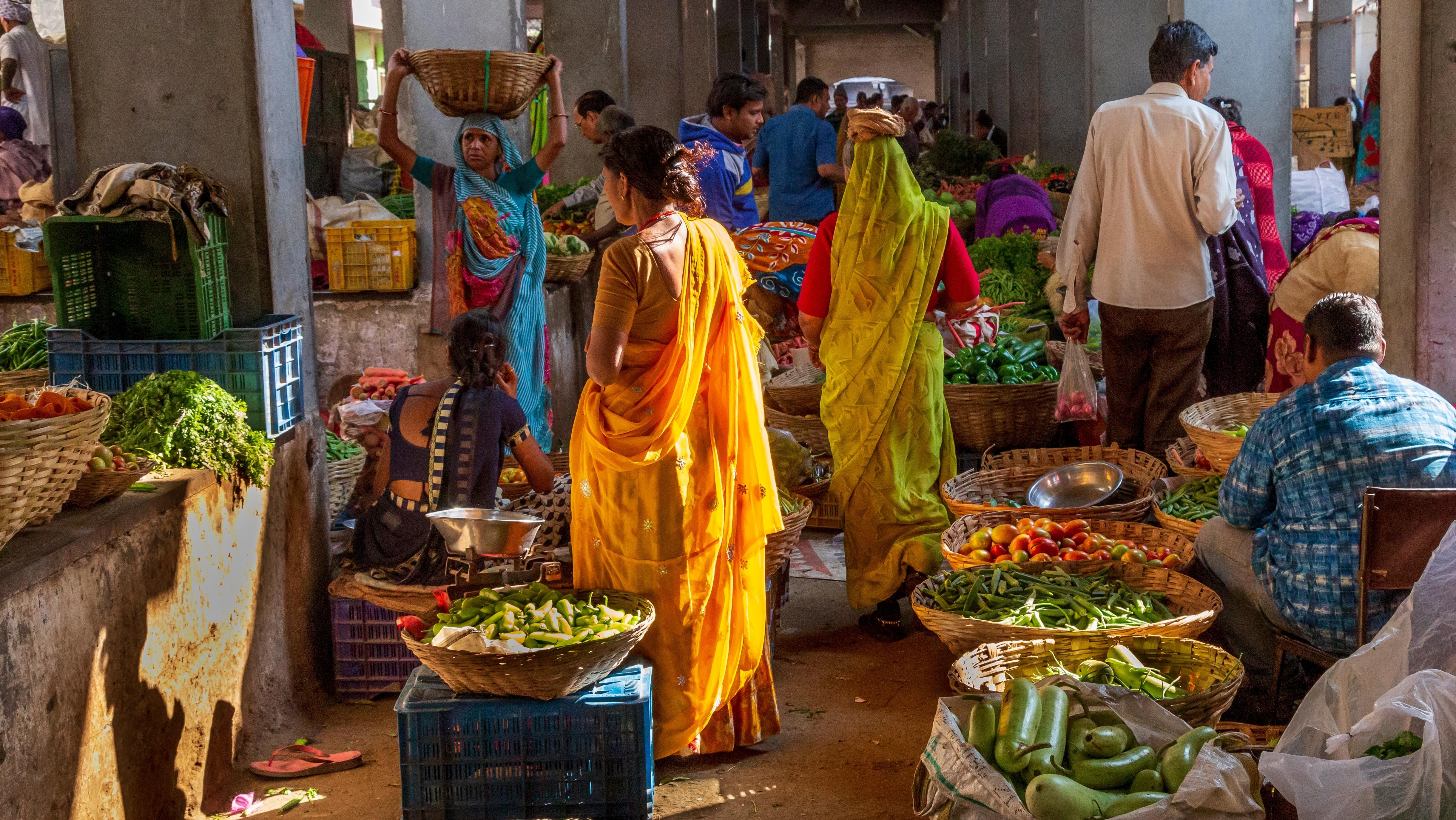 Delhi, India. Photo: Emily Marie Wilson / Shutterstock.com