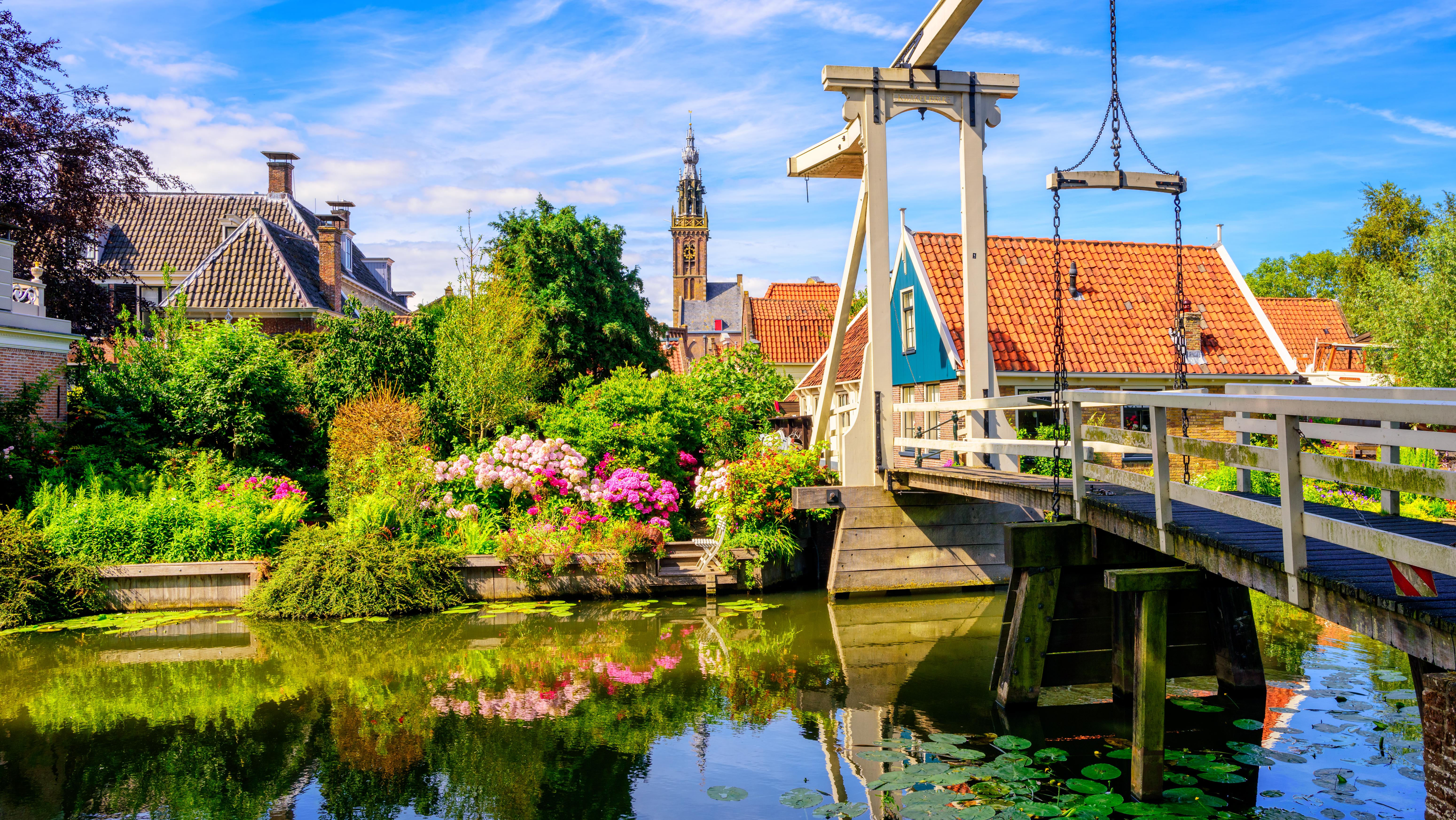Edam. Photo: Shutterstock