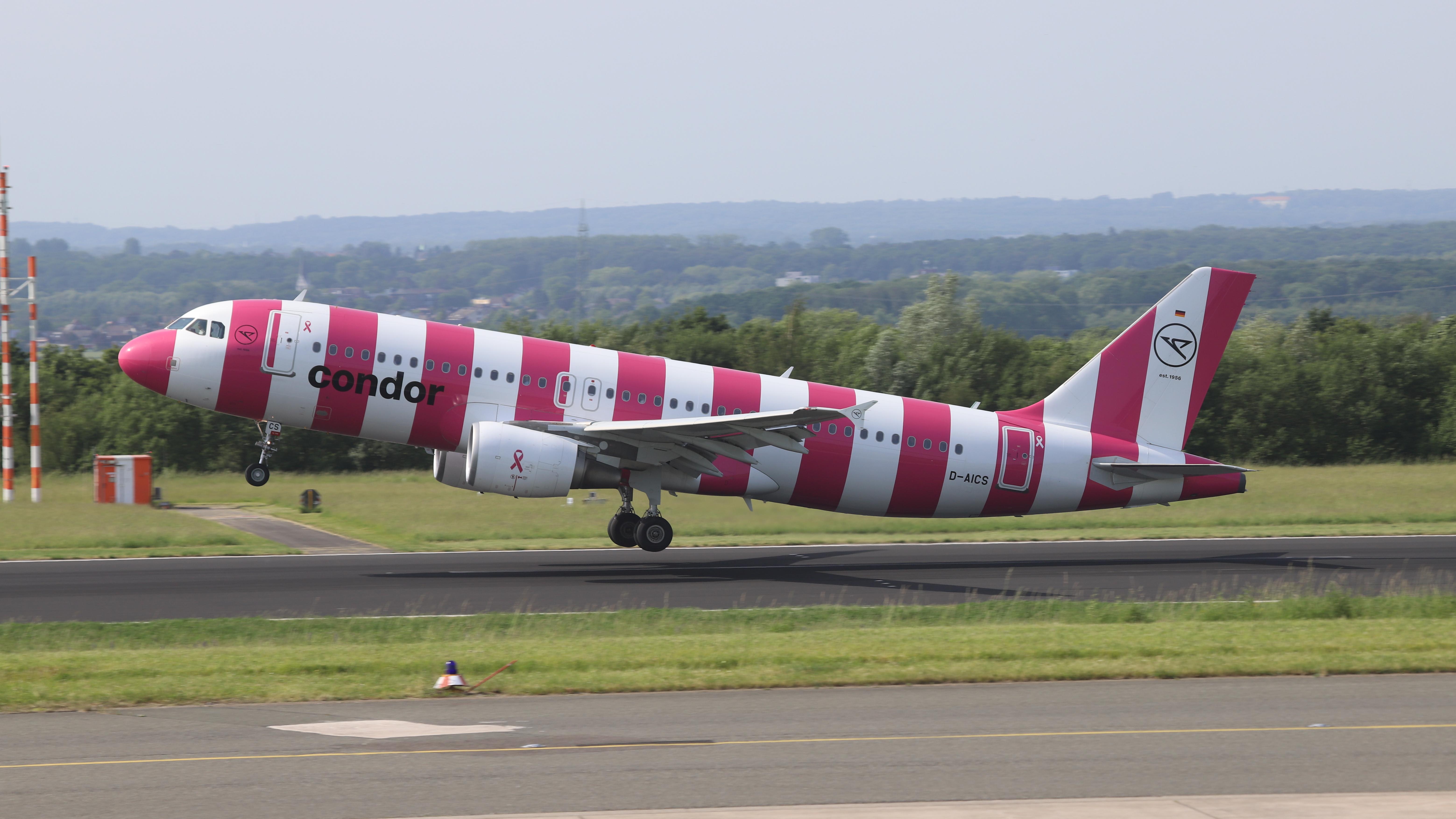 Condor's pink plane. Photo: Condor
