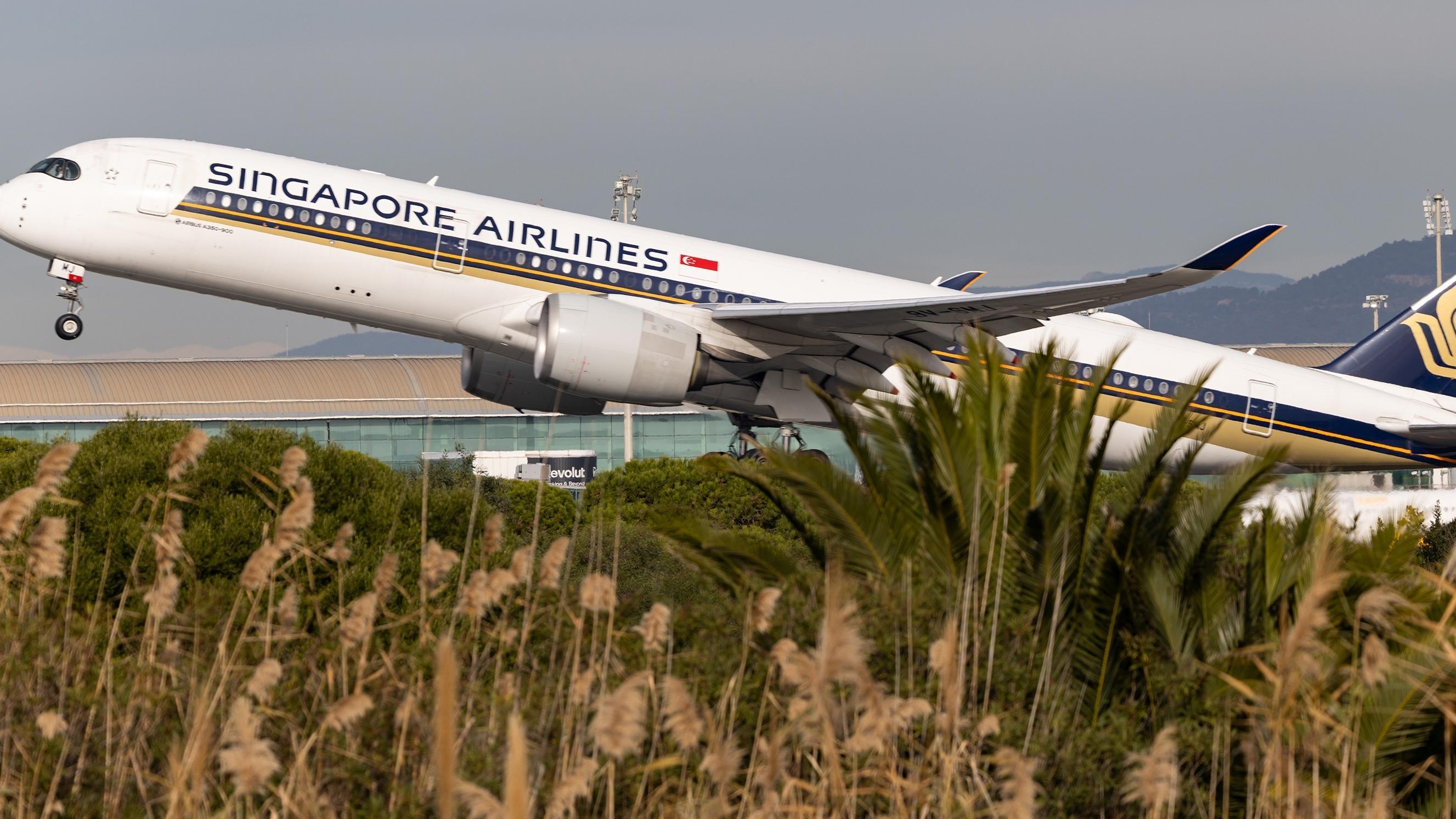 Singapore Airlines. Photo: BearFotos / Shutterstock.com