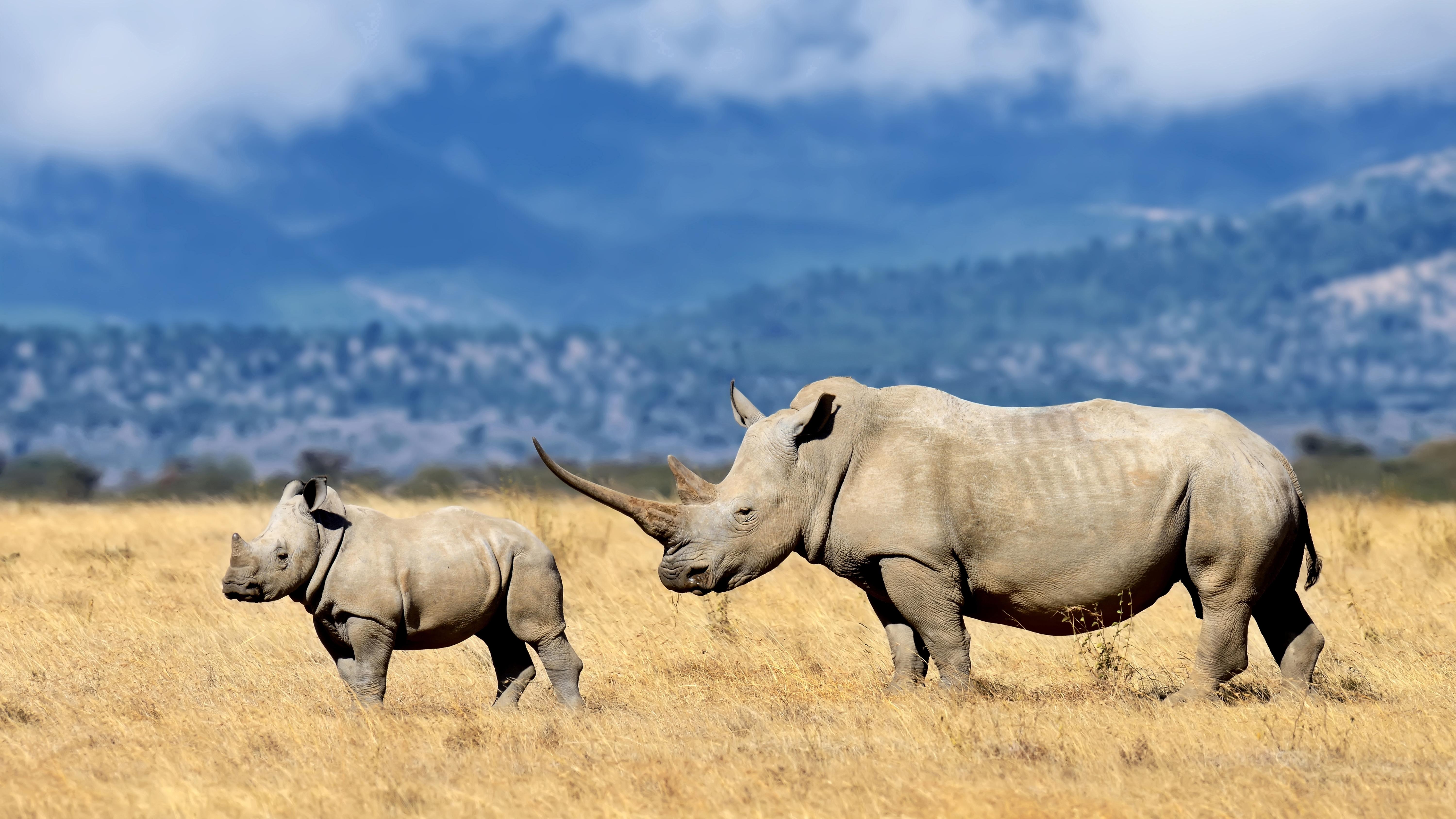 Photo: Shutterstock
