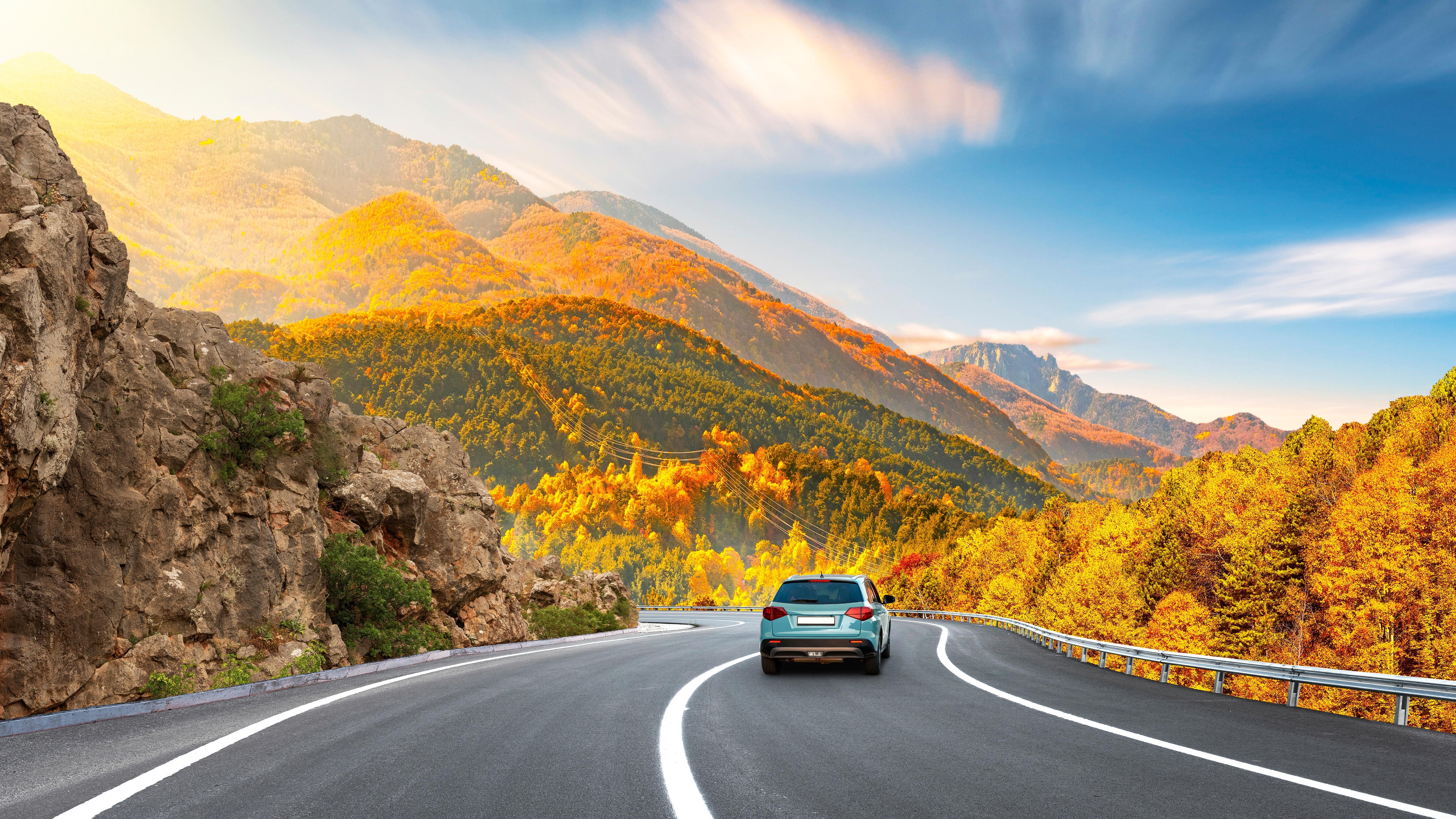 Photo: Shutterstock