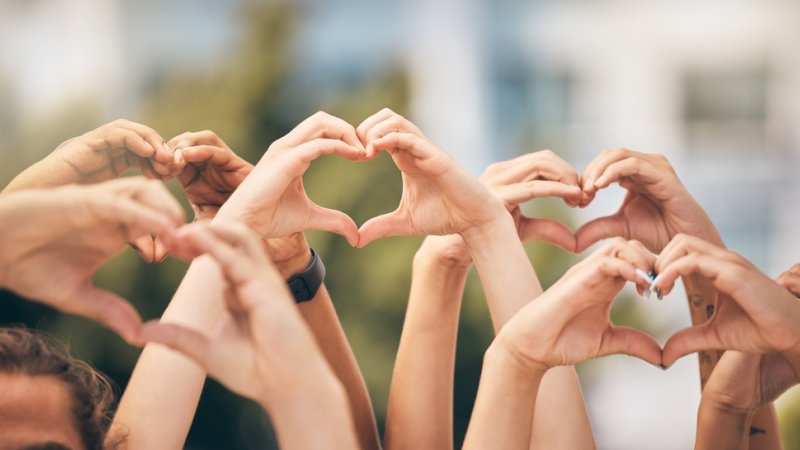 צילום: Shutterstock צילום: Shutterstock