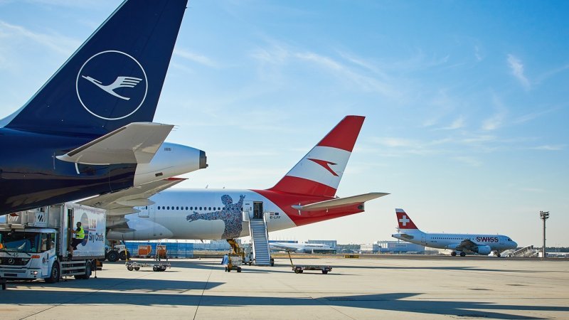 צילום: LUFTHANSA צילום: LUFTHANSA