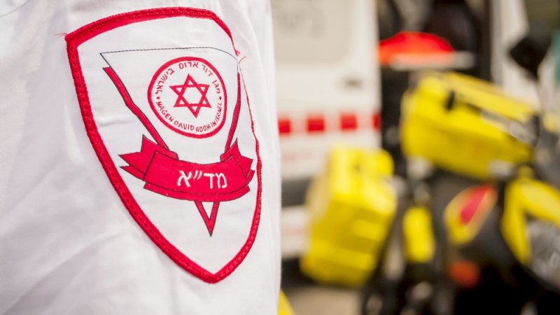 צילום: Shutterstock צילום: Shutterstock