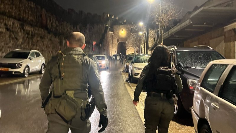 צילום: משטרת ישראל צילום: משטרת ישראל