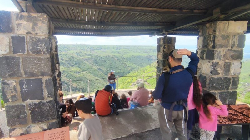 גמלא קריאת מגילה. צילום: לילך ביטון רשות הטבע והגנים
