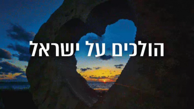 צילום: Shutterstock צילום: Shutterstock