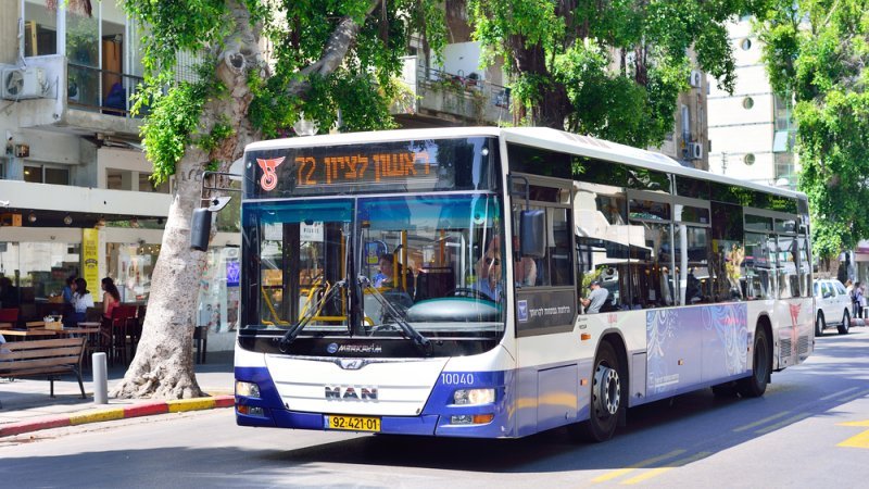 אילוסטרציה. צילום: Shutterstock אילוסטרציה. צילום: Shutterstock