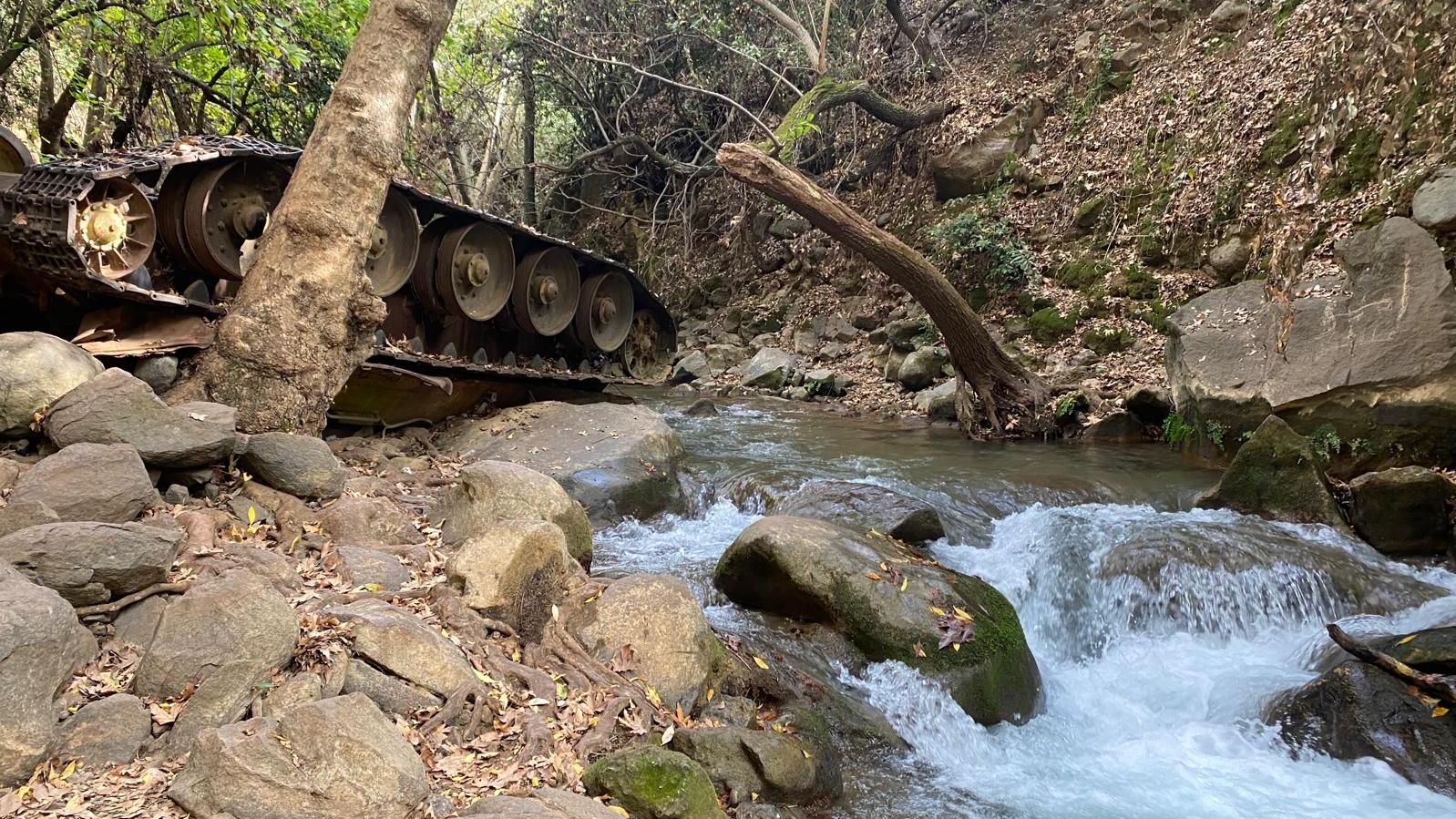 צילום: נעמה מנספלד, רשות הטבע והגנים