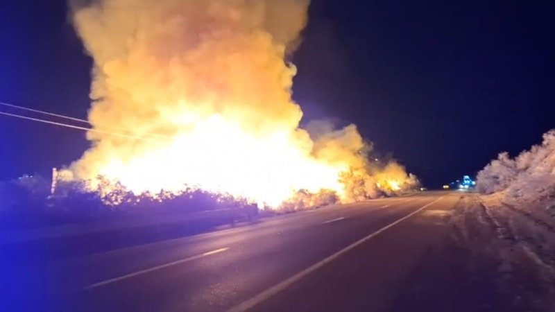 צילום: שקד לב, רשות הטבע והגנים