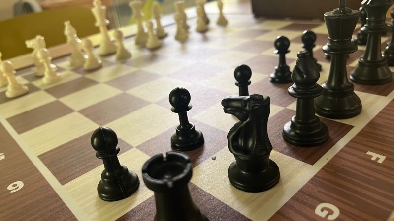 צילום: האיגוד הישראלי לשחמט