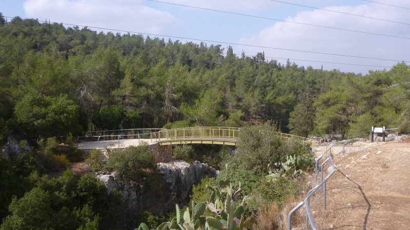 שמורת גמל. צילום: ערן געש שמורת גמל. צילום: ערן געש