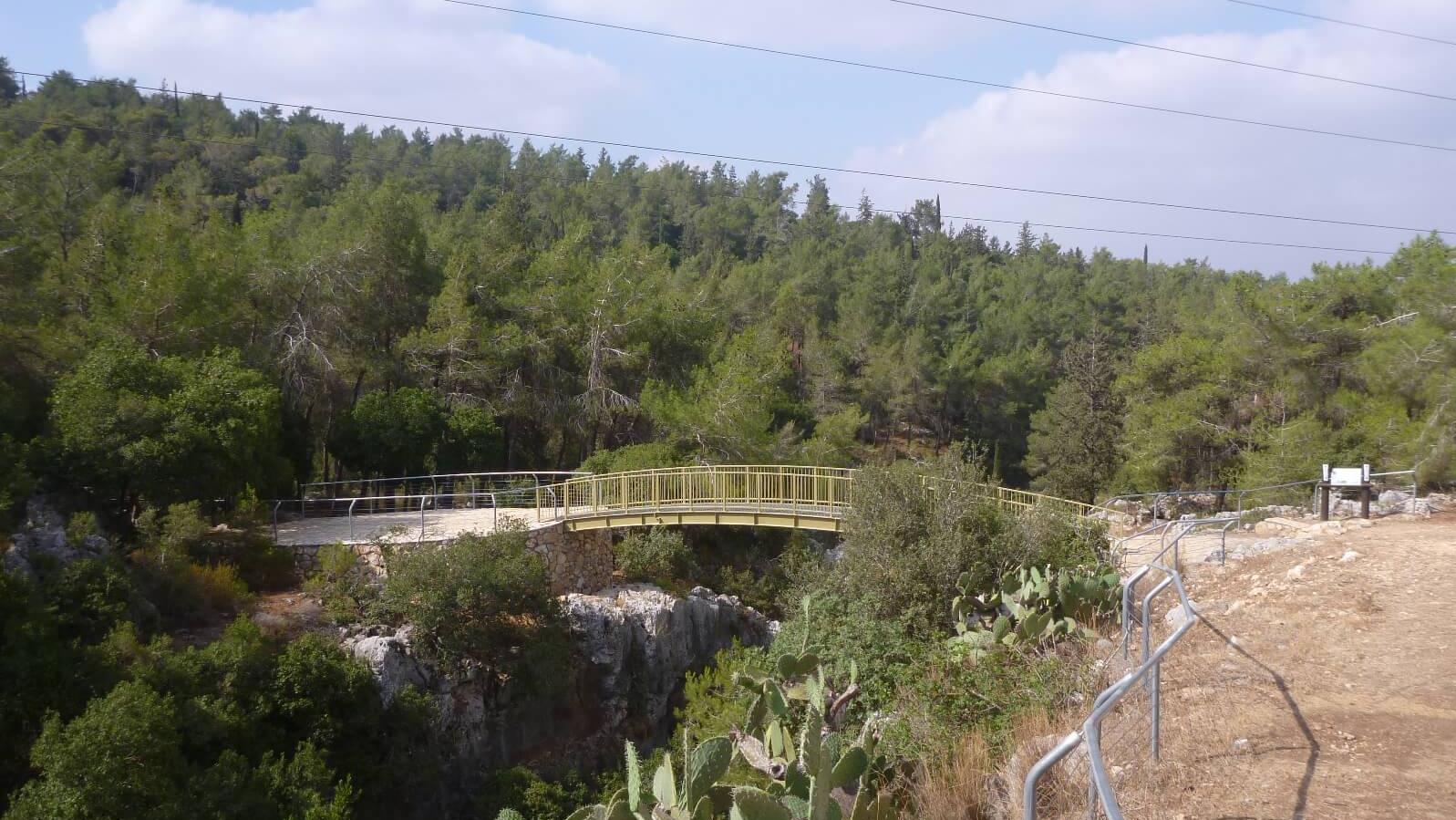 שמורת גמל. צילום: ערן געש