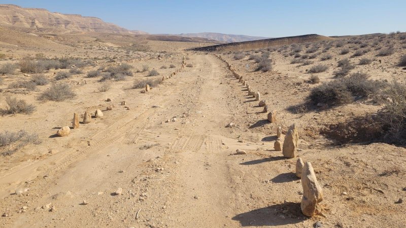 צילום: דיוויד סטורוקוב רשות הטבע והגנים צילום: דיוויד סטורוקוב רשות הטבע והגנים