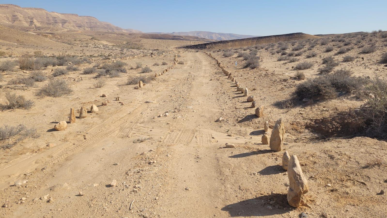 צילום: דיוויד סטורוקוב רשות הטבע והגנים