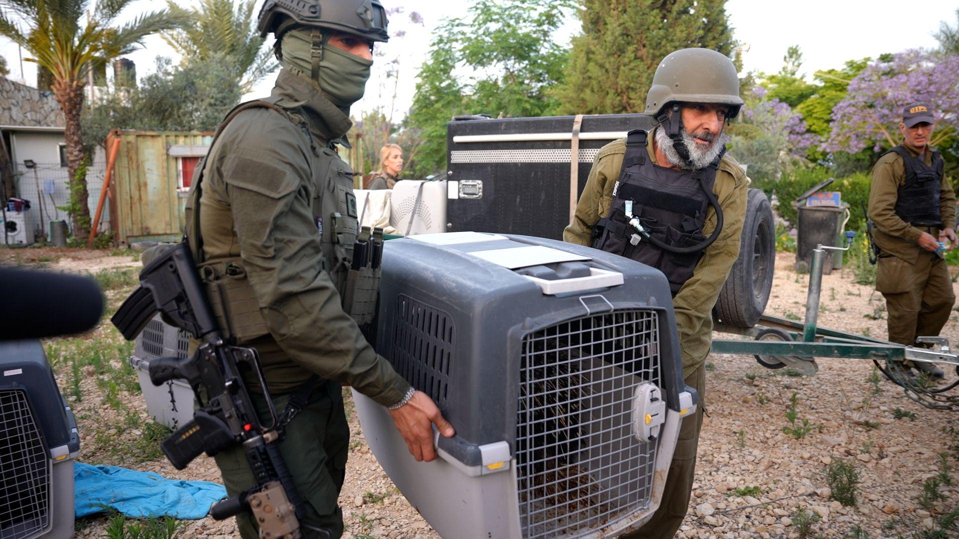 צילום: דוברות המשטרה ורשות הטבע והגנים