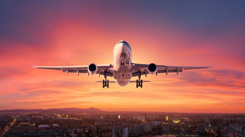 צילום: Shutterstock צילום: Shutterstock