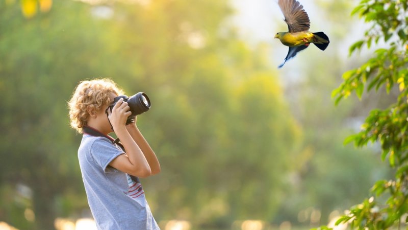 צילום: shutterstock