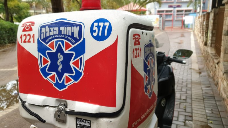 צילום: Shutterstock