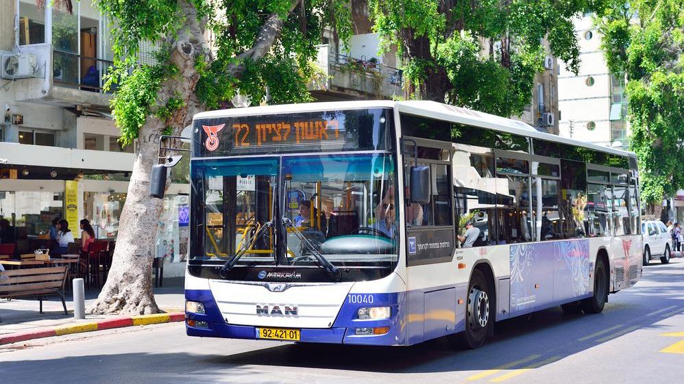 צילום: Shutterstock
