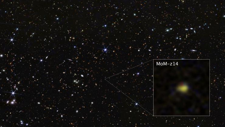 גלקסיה קדומה. צילום: טלסקופ ווב, NASA