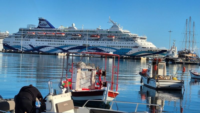 קראון איריס. צילום: מ.ל.ת