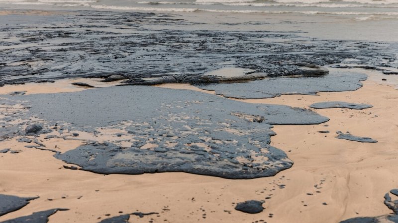 צילום: shutterstock