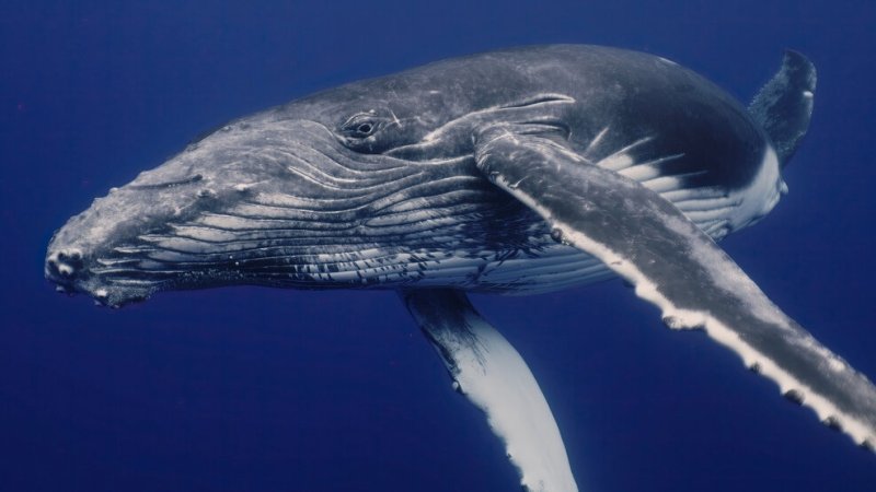 צילום: shutterstock