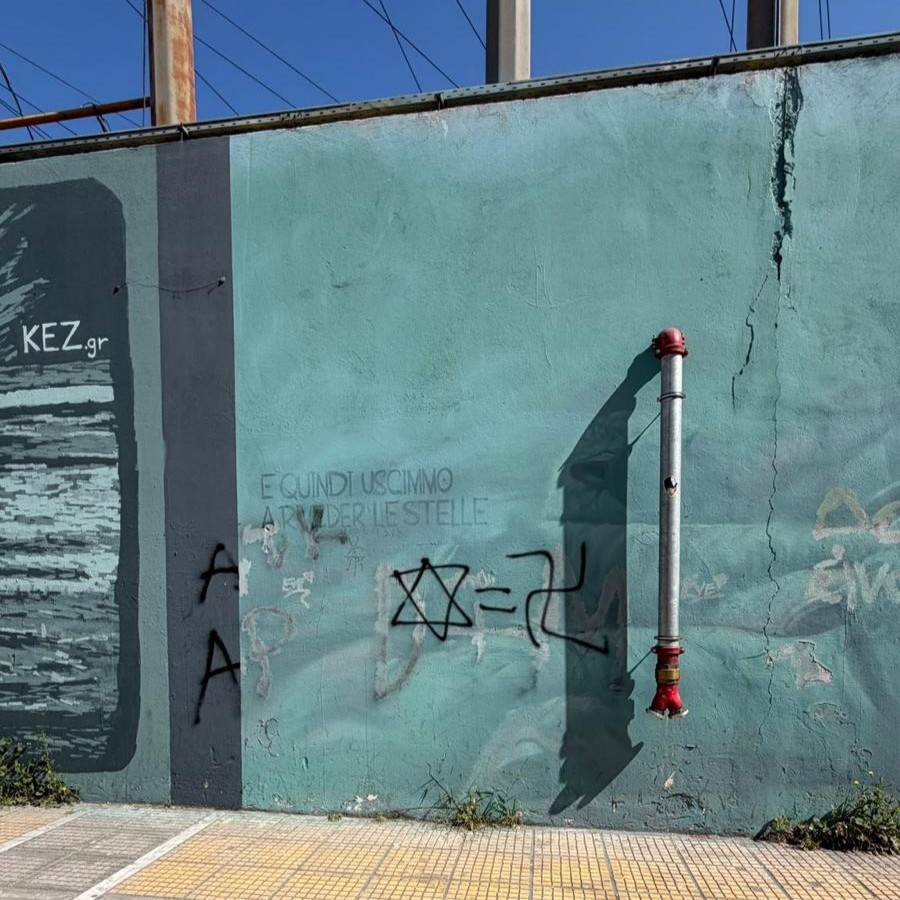 צילום: עמית קוטלר