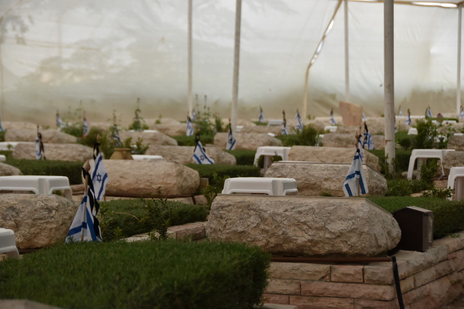 צילום: אילה הדר