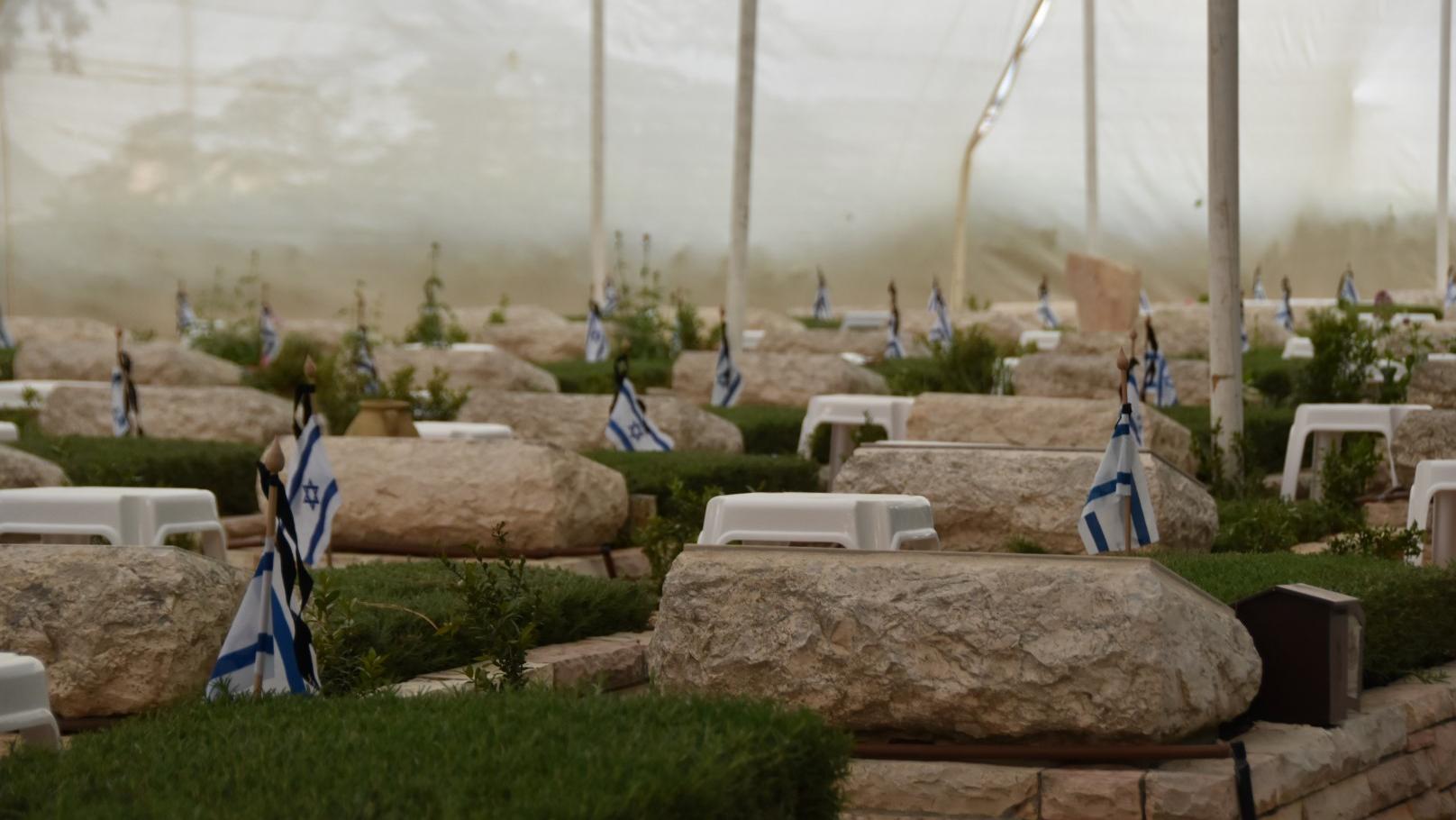 צילום: אילה הדר