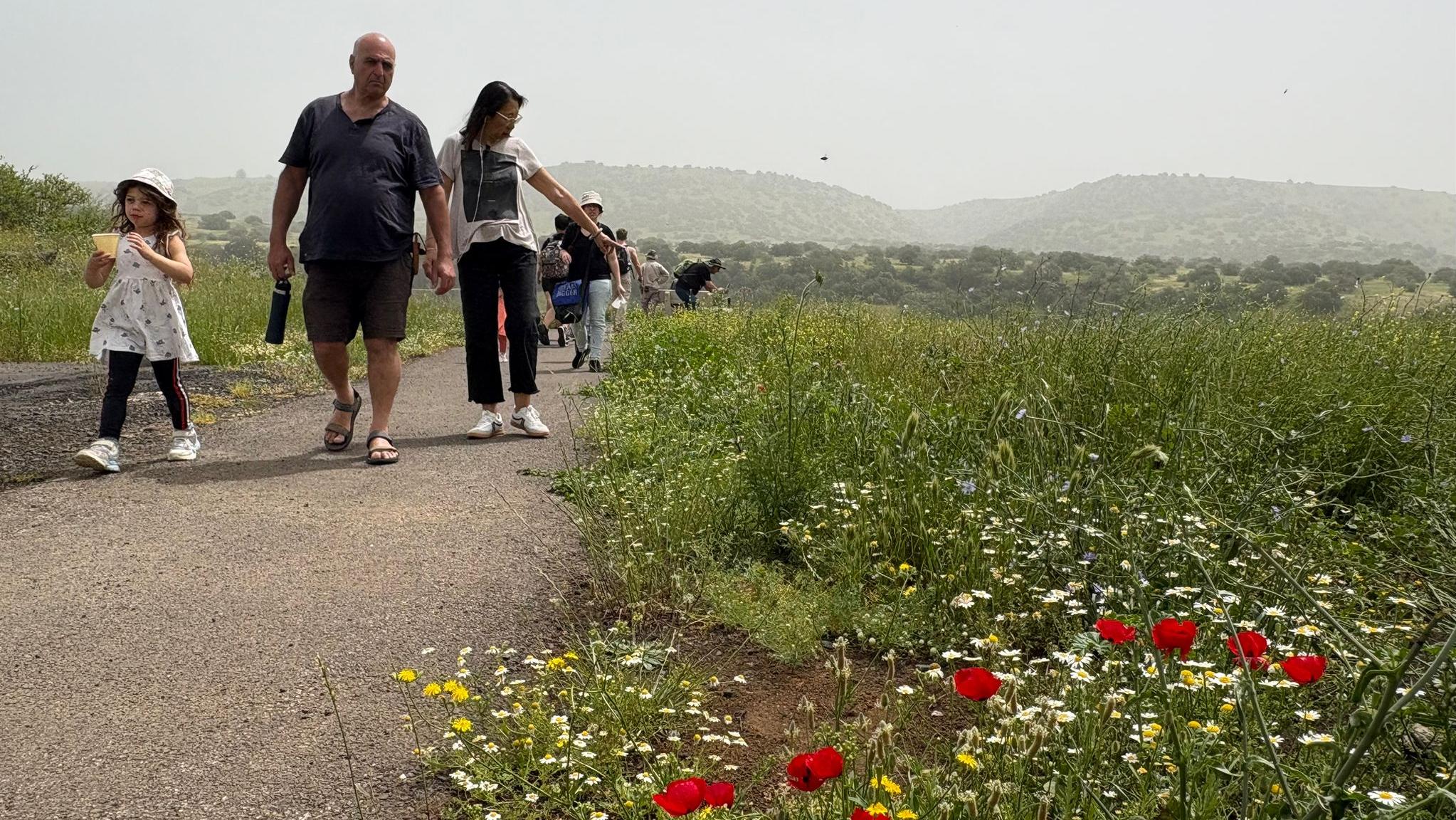 צילום: רשות הטבע והגנים