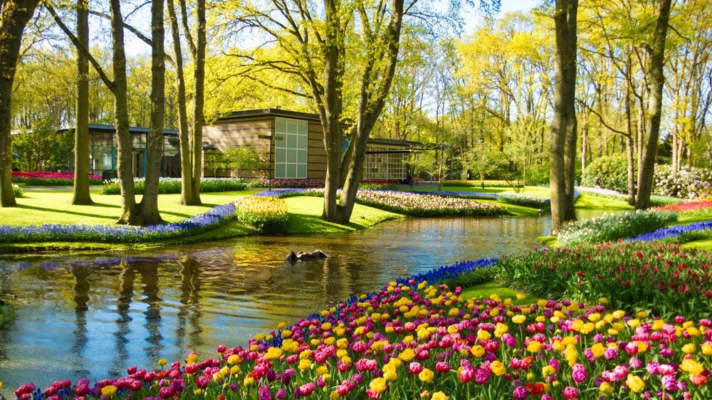 גני Keukenhof