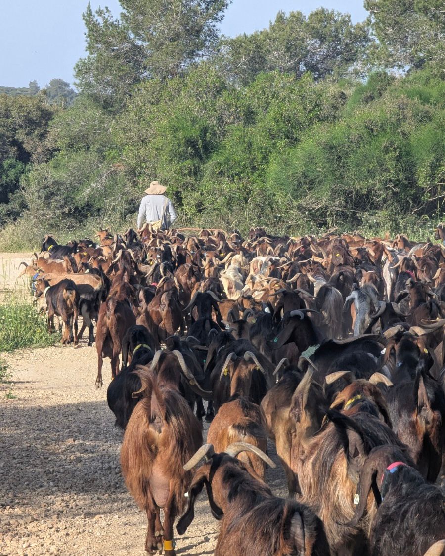 צילום: מעיין בר יואל