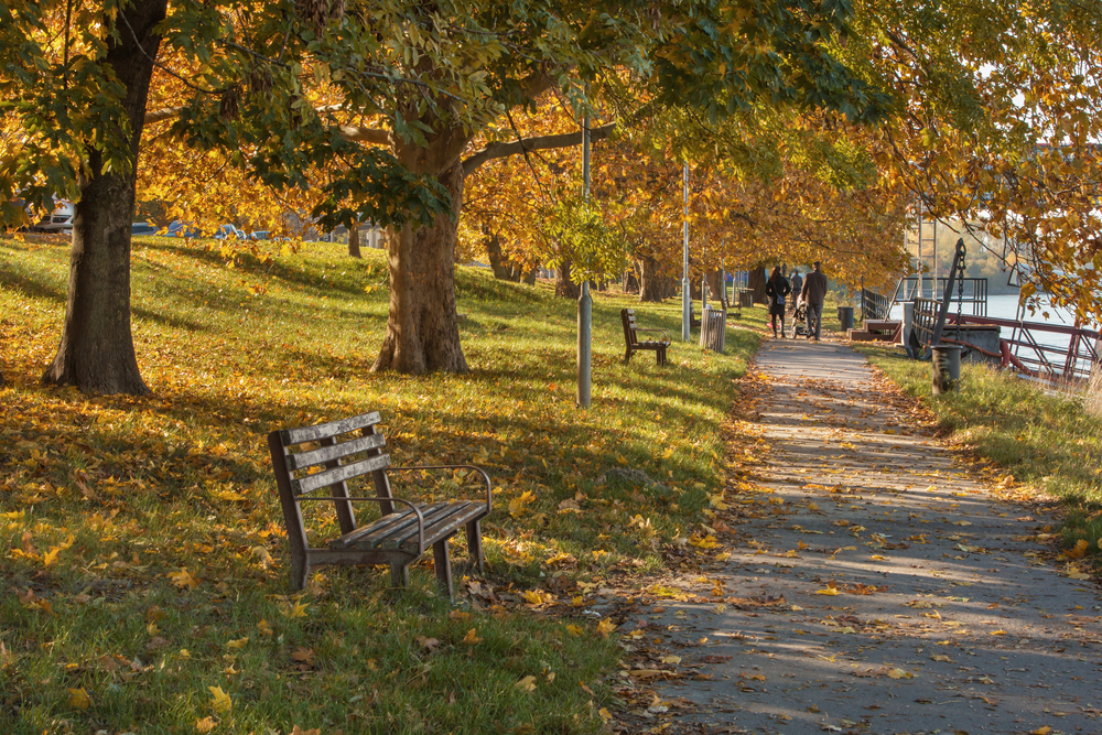 Green and surprising. Bratislava. Photo: Shutterstock