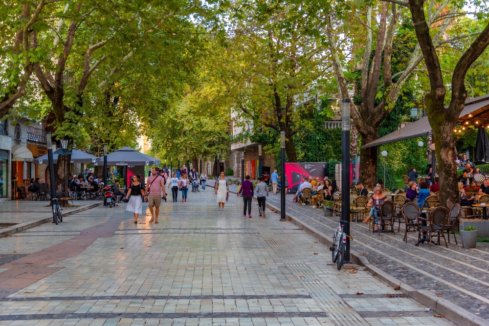 טיראנה נוסקת. צילום: Shutterstock