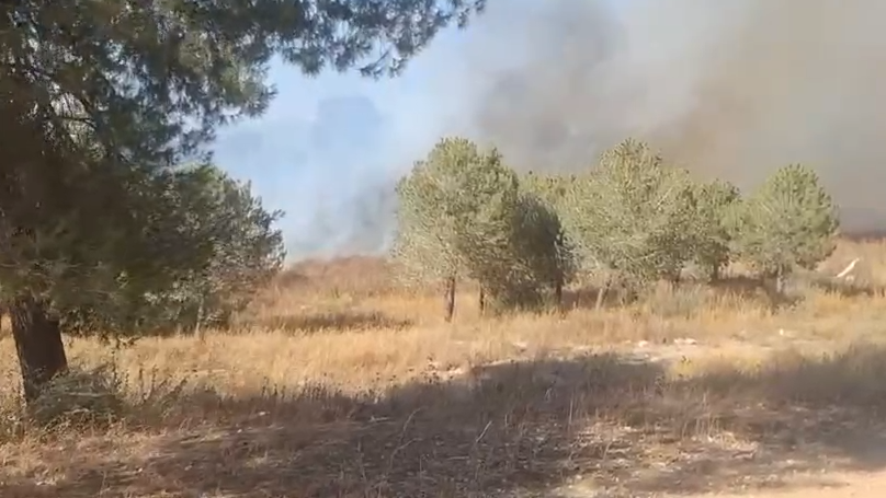 שריפה בשטח פתוח ליד אלעד