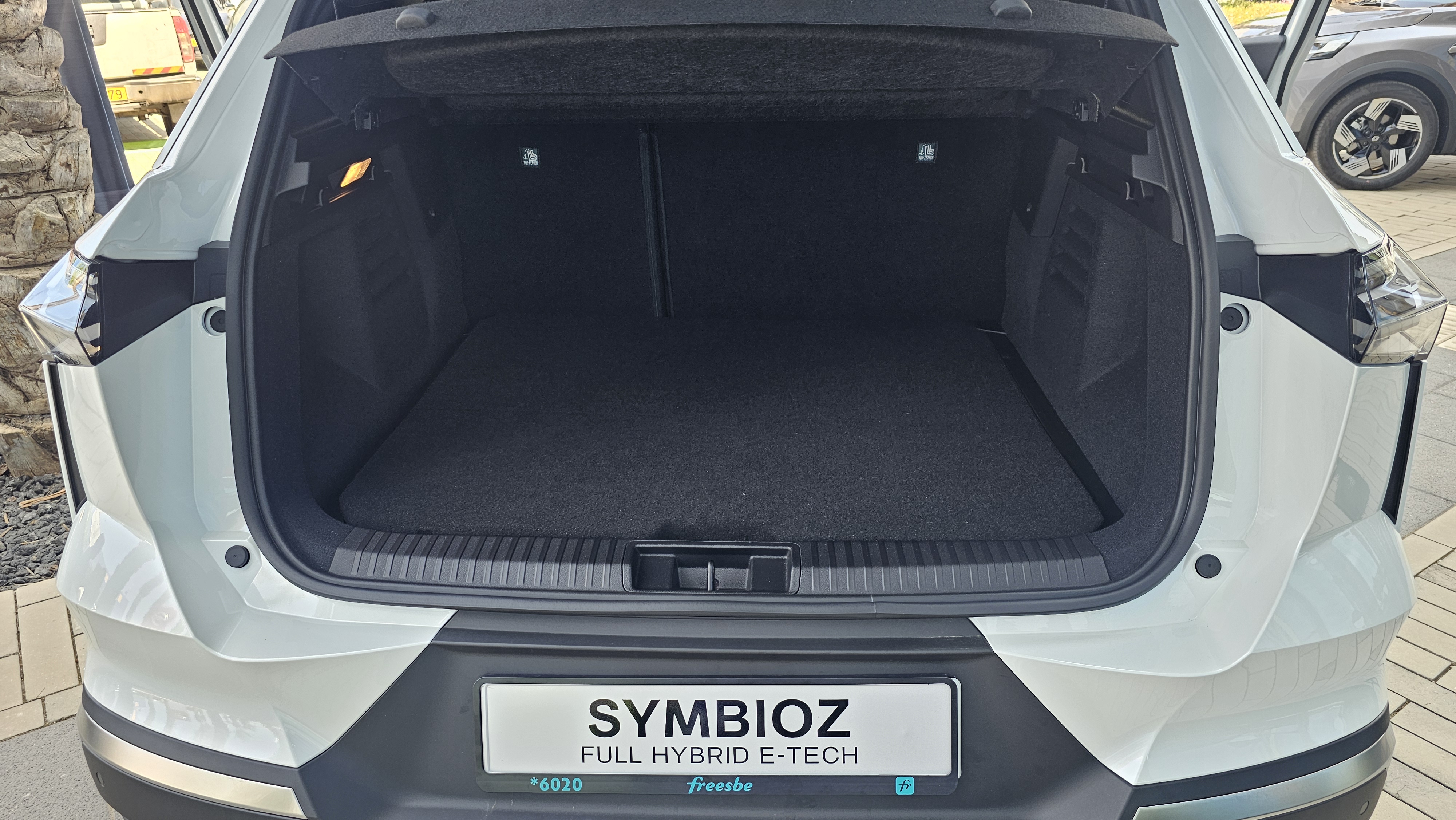 Renault Symbioz. צילום: אירה מקיינקו