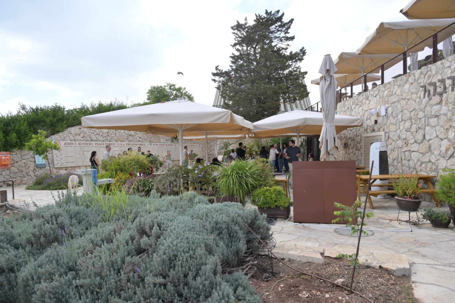 יד קנדי. צילום: שלומי אמסלם, מערך ההסברה, קרן קיימת לישראל