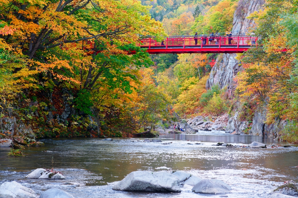 Hokkaido, יפן. צילום: Shutterstock