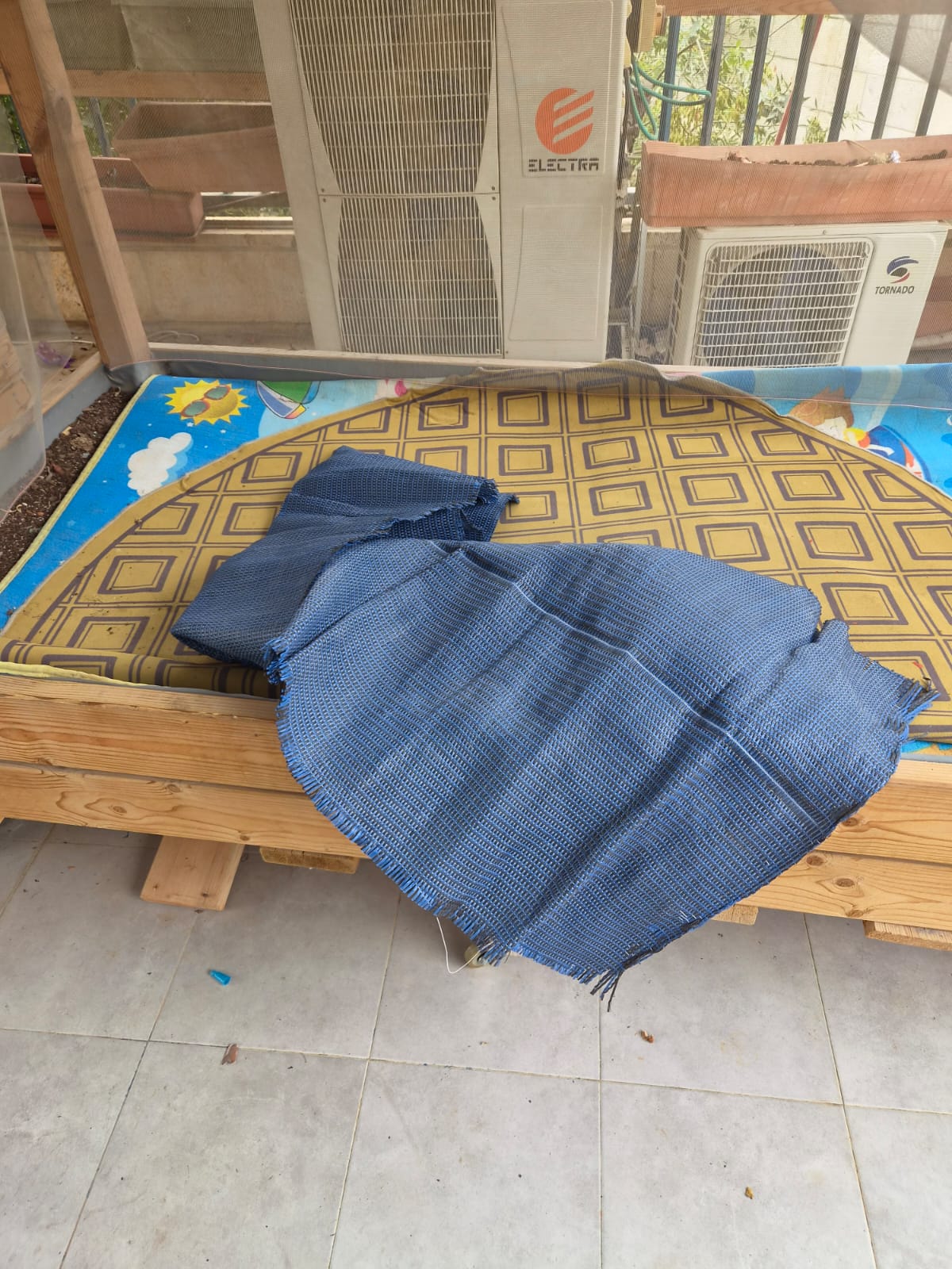 צילום: דוברות המשטרה