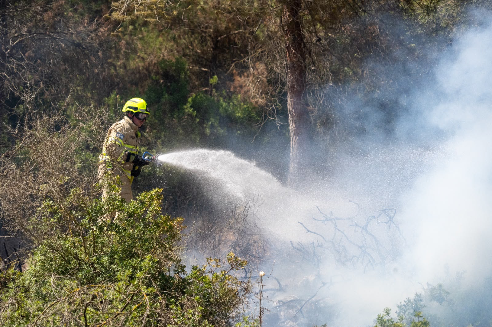 פעילות לוחמי אש בסיוע כיבוי אווירי בשמשית. צילום: טל סורסקי, כבאות והצלה לישראל