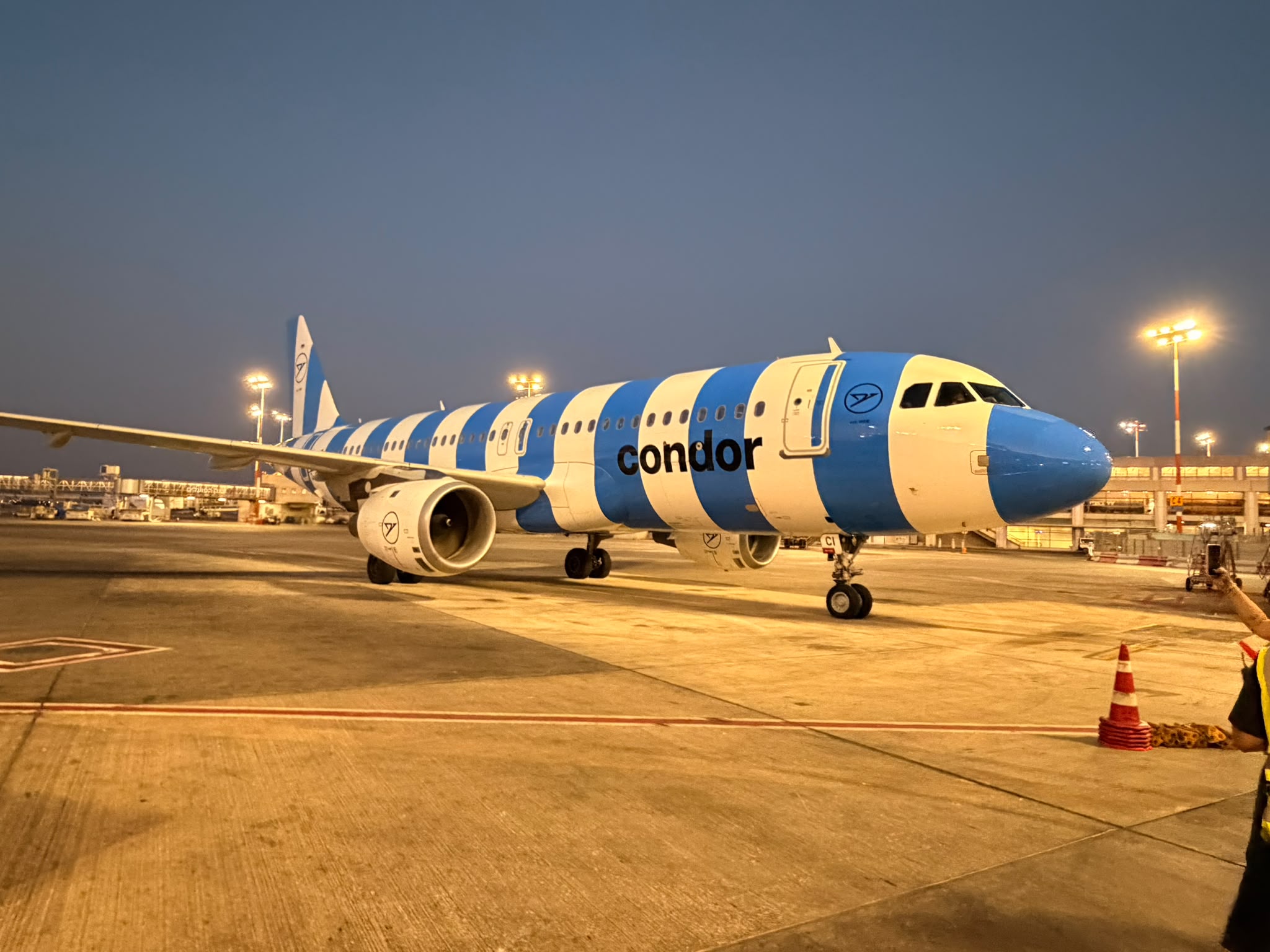 Condor בנתבג. צילום: אוסקר רודריגז spotter.tlv
