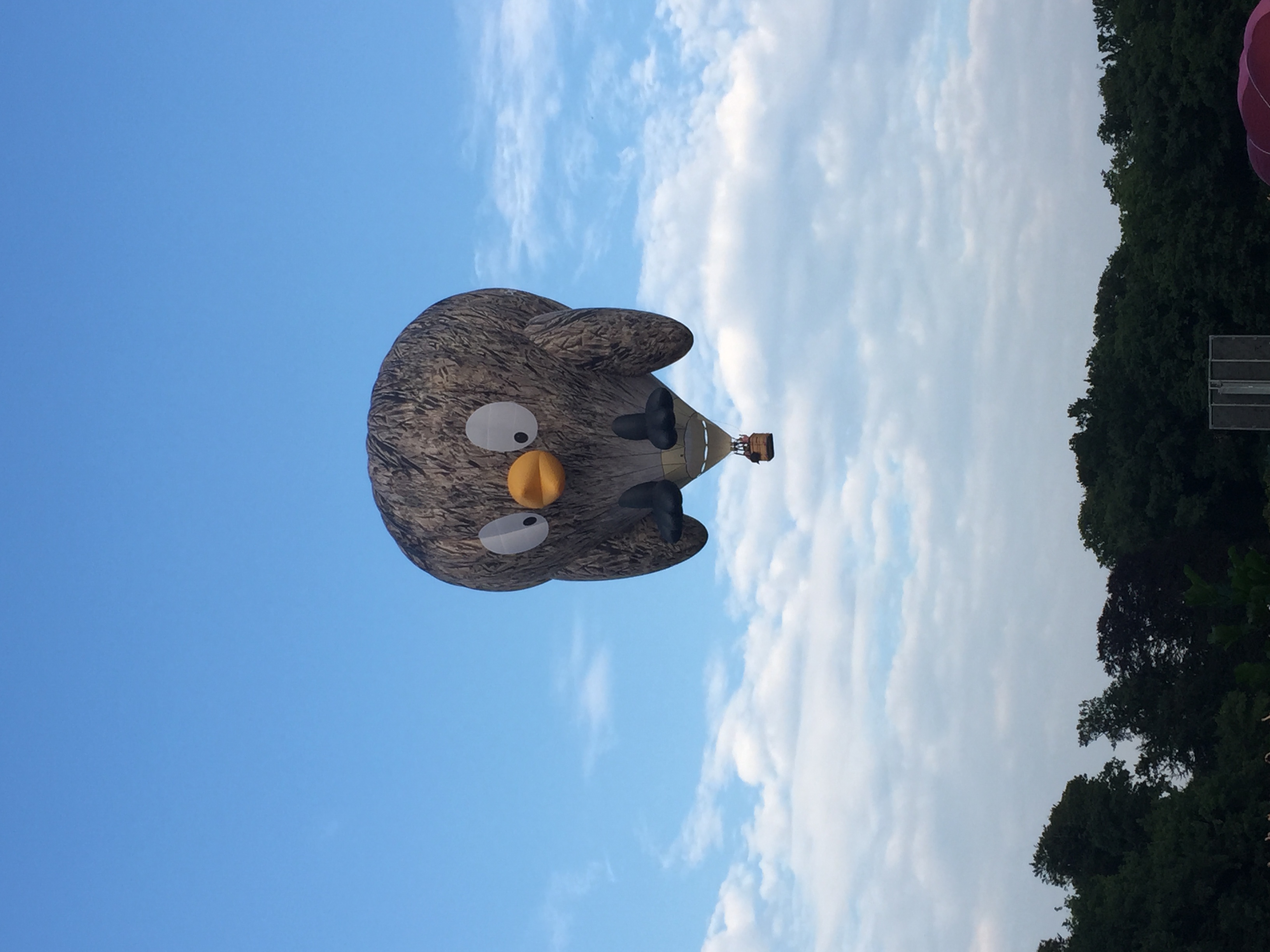 Ballonfiësta Barneveld צילום : נמרוד לוטם