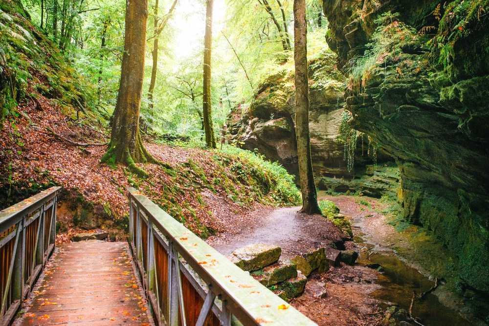 מסלולי Mullerthal Trail. צילום: Shutterstock