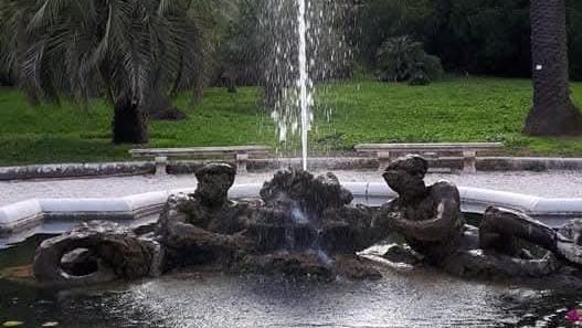 צילום: Irit Cattonar