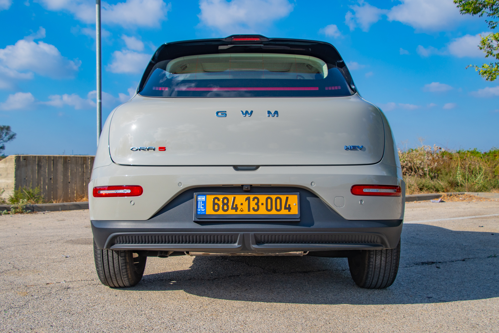 ORA 5 SUV במבחן. צילום: אירה מקיינקו